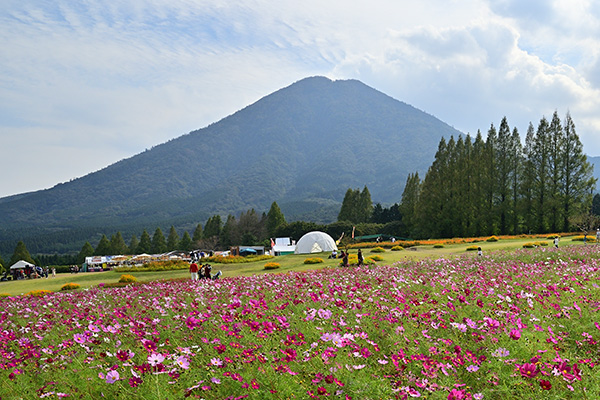 鹿児島県のアビマルシェ